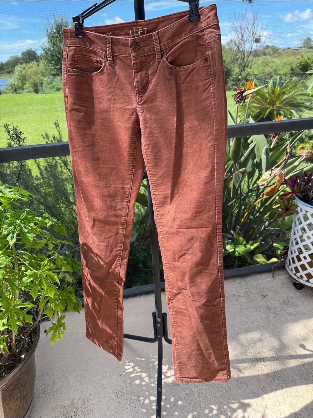 LOFT Straight-Leg Corduroy Jeans in Burnt Orange